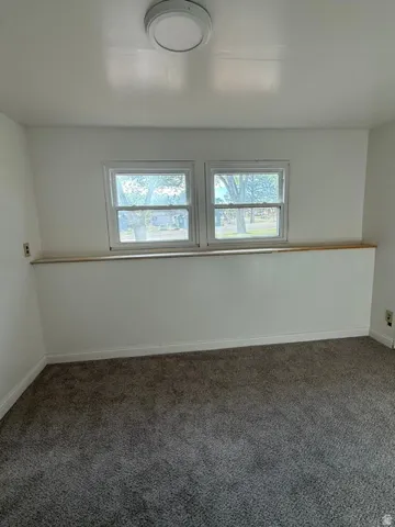 Neutral wall color, two windows, wood window sill, flush-mount ceiling light, and carpet flooring