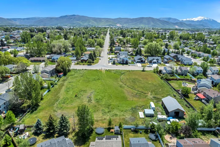Expansive green lot featuring mature trees and a residential street