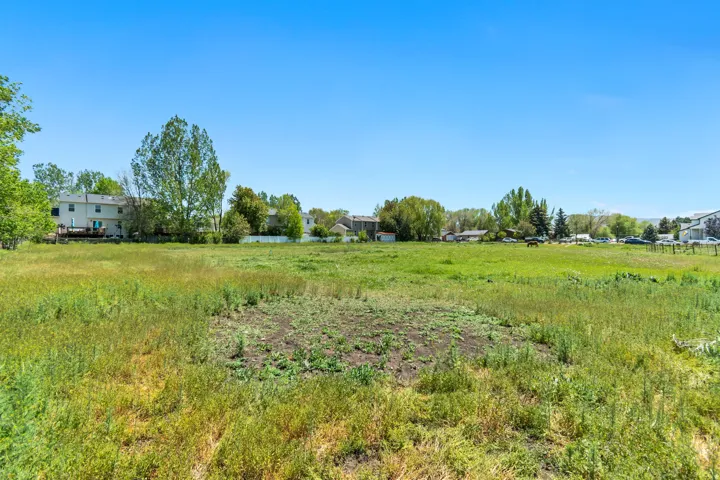 Expansive open land with varying green vegetation under a clear blue sky
