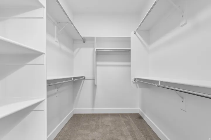Walk-in closet with multiple shelving units, built-in hanging rods, and neutral-toned carpeting