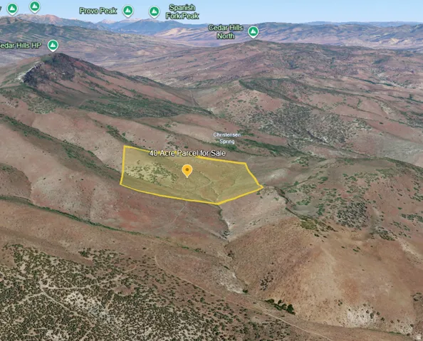 Geographic Information System (GIS) Map. Displaying a 40-acre parcel of land for sale with surrounding topographical features