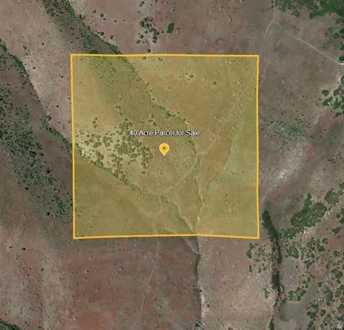 Aerial Map. Presenting a 40-acre parcel of land for sale with boundary lines indicated
