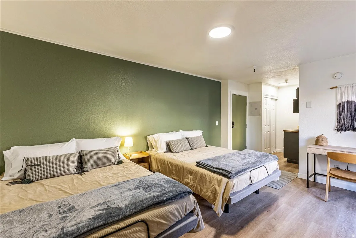 Studio space featuring a deep olive accent wall and wood-finish flooring