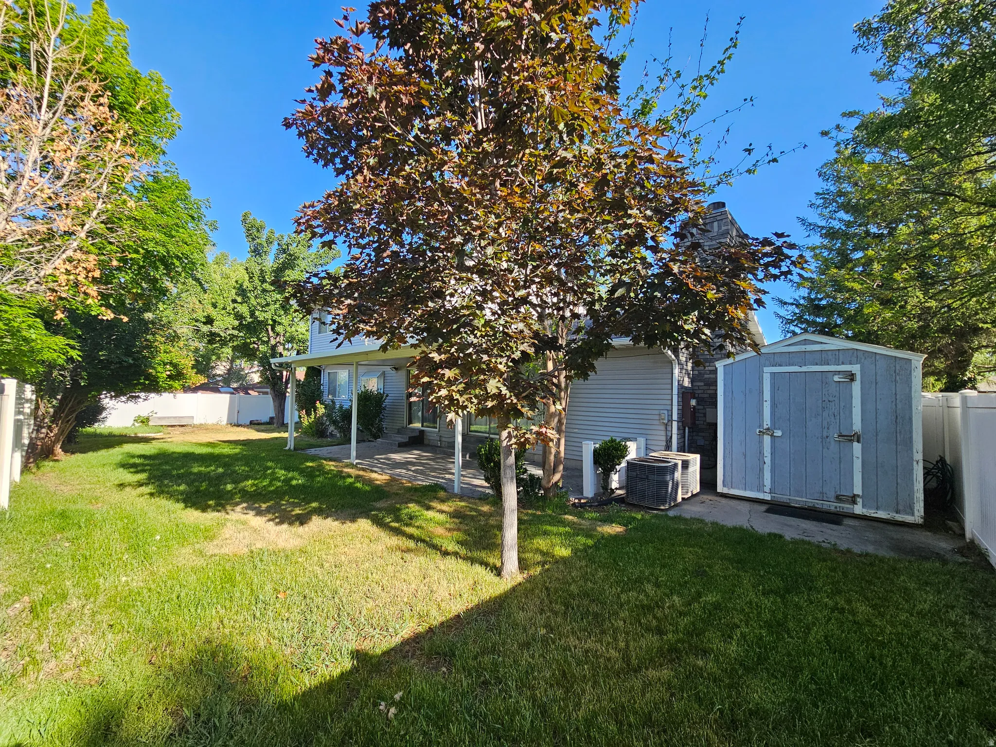 Expansive backyard featuring a concrete patio, mature trees, and a detached storage shed