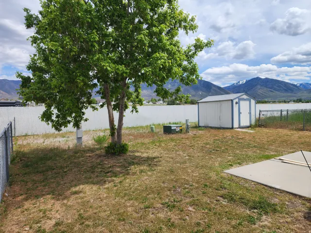 Spacious outdoor area featuring a mature deciduous tree, a detached storage shed, and a concrete patio slab