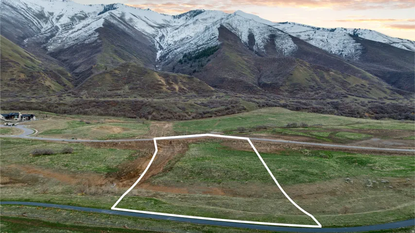 Expansive land parcel featuring a gentle slope, mature mountain backdrop, and direct paved road frontage