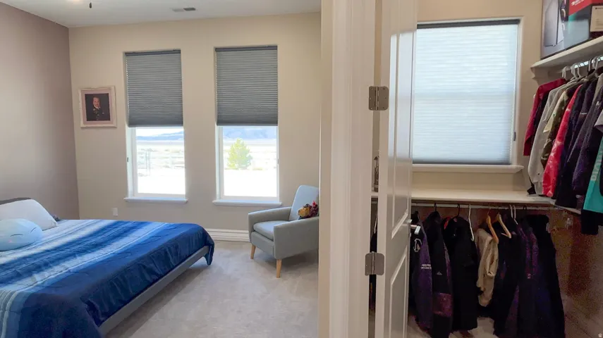 Carpeted interior space featuring two windows with horizontal blinds, a ceiling fan, and a built-in closet with shelving and hanging rods