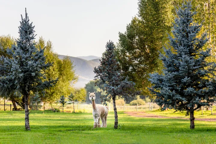 2085 W Midway Ln, Heber City, Utah 84032