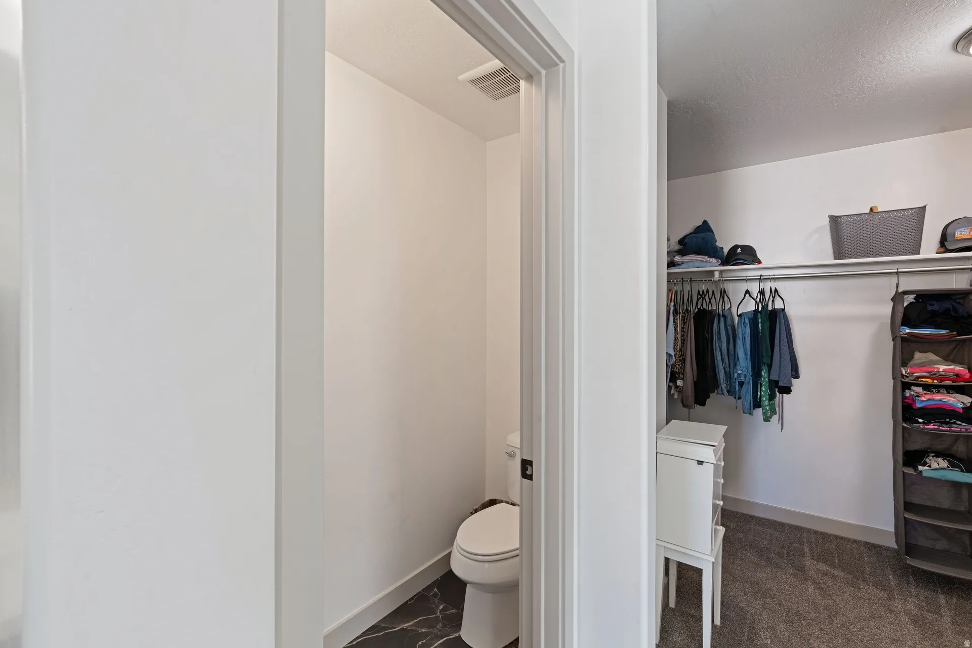 Primary bathroom with walk-in closet