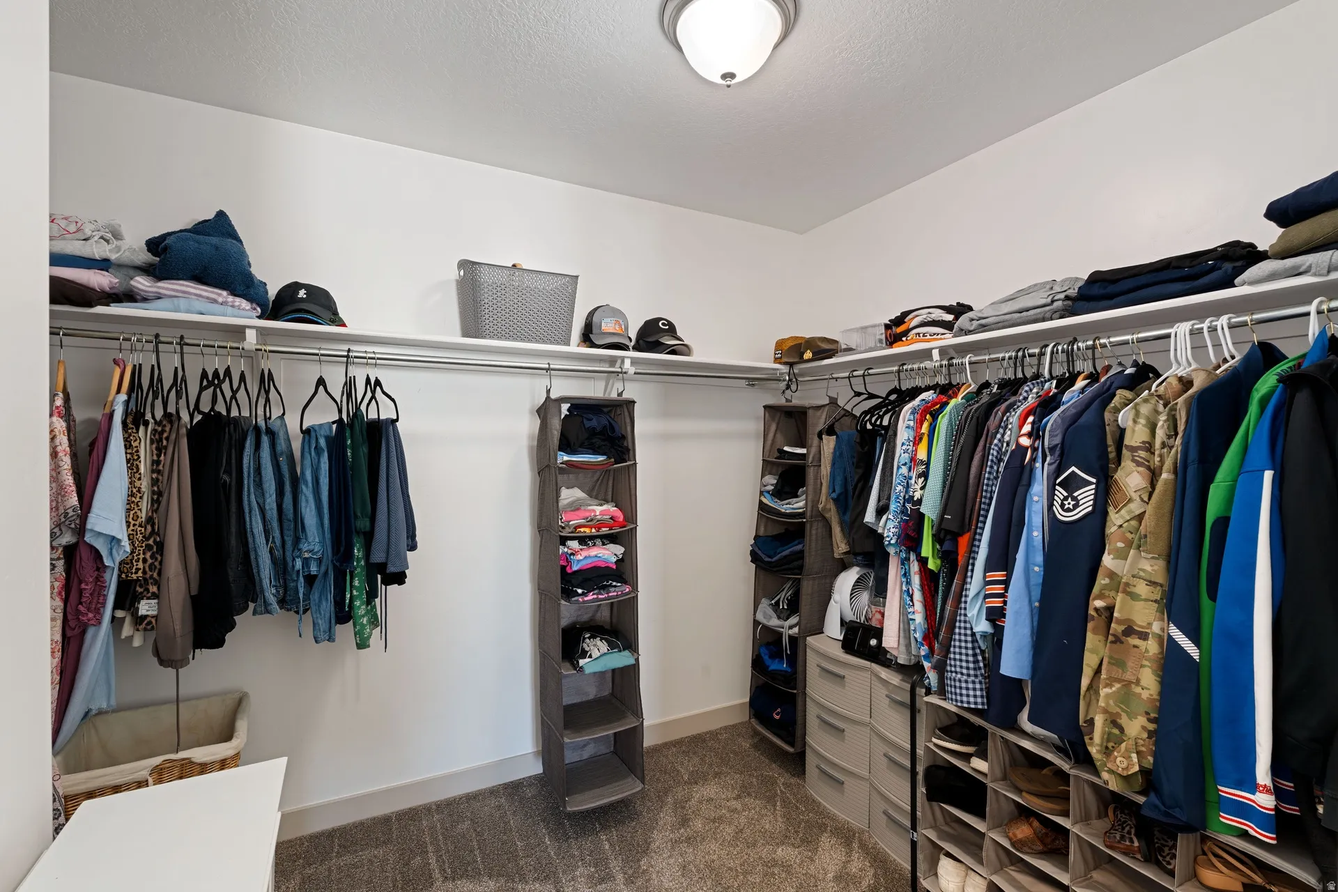 Primary bedroom with spacious walk-in closet featuring white walls, textured carpeting, and a flush mount ceiling light