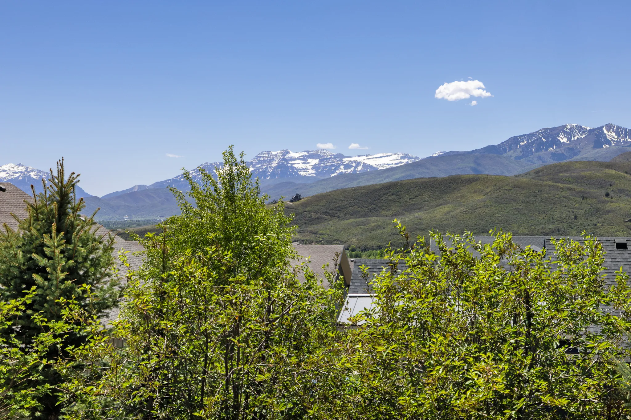 Mountain backdrop featuring snow-capped peaks and rolling green hills