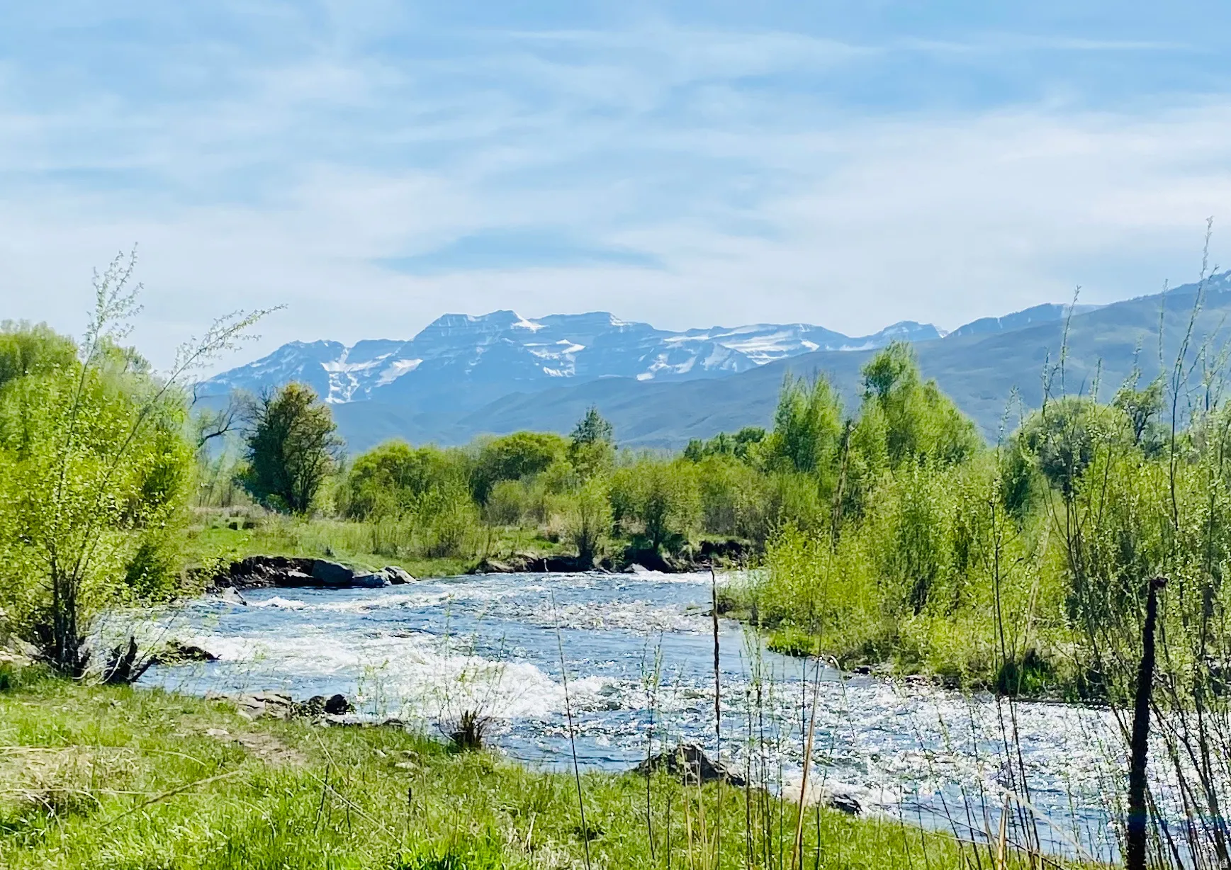 Riverfront scenery featuring a flowing river, lush green banks, mature trees, and distant snow-capped mountains under a clear sky