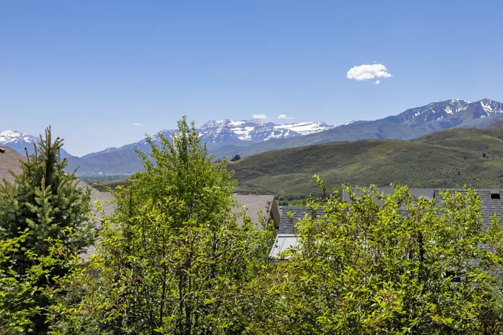 Mountain backdrop featuring snow-capped peaks and rolling green hills