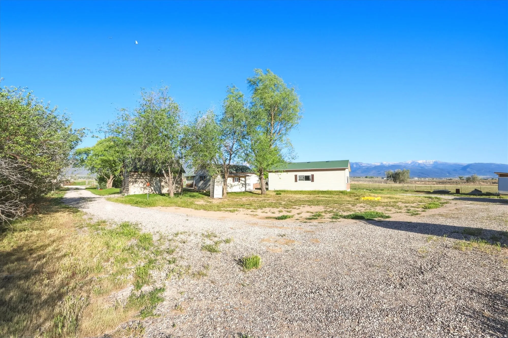 Gravel driveway extending through a spacious lot, featuring mature trees and distant mountain ranges