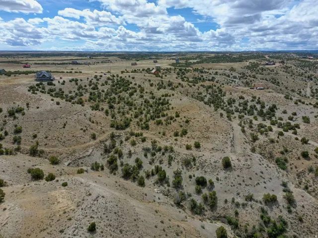Expansive desert terrain featuring varied topography and scattered green shrubbery under a broad sky with clouds