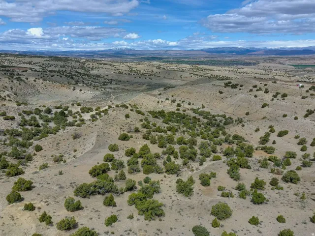Expansive desert landscape featuring rolling terrain and scattered evergreen shrubs