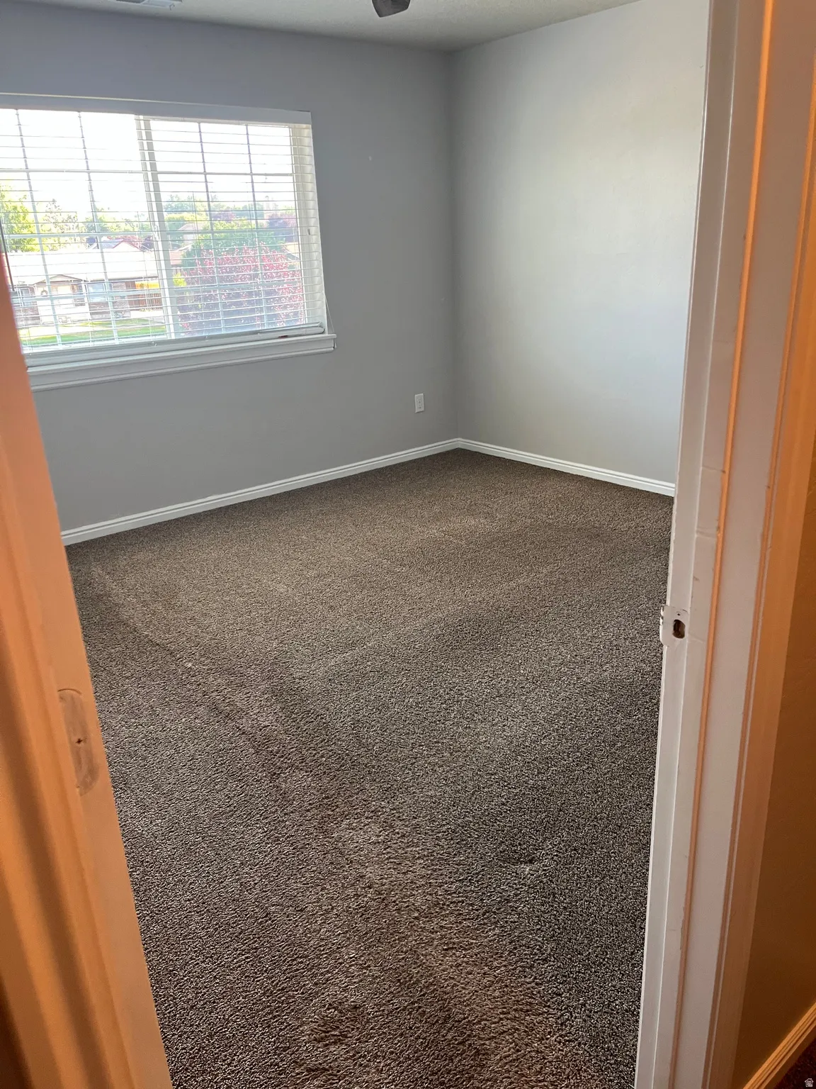 Carpeted interior room with neutral gray walls and white trim