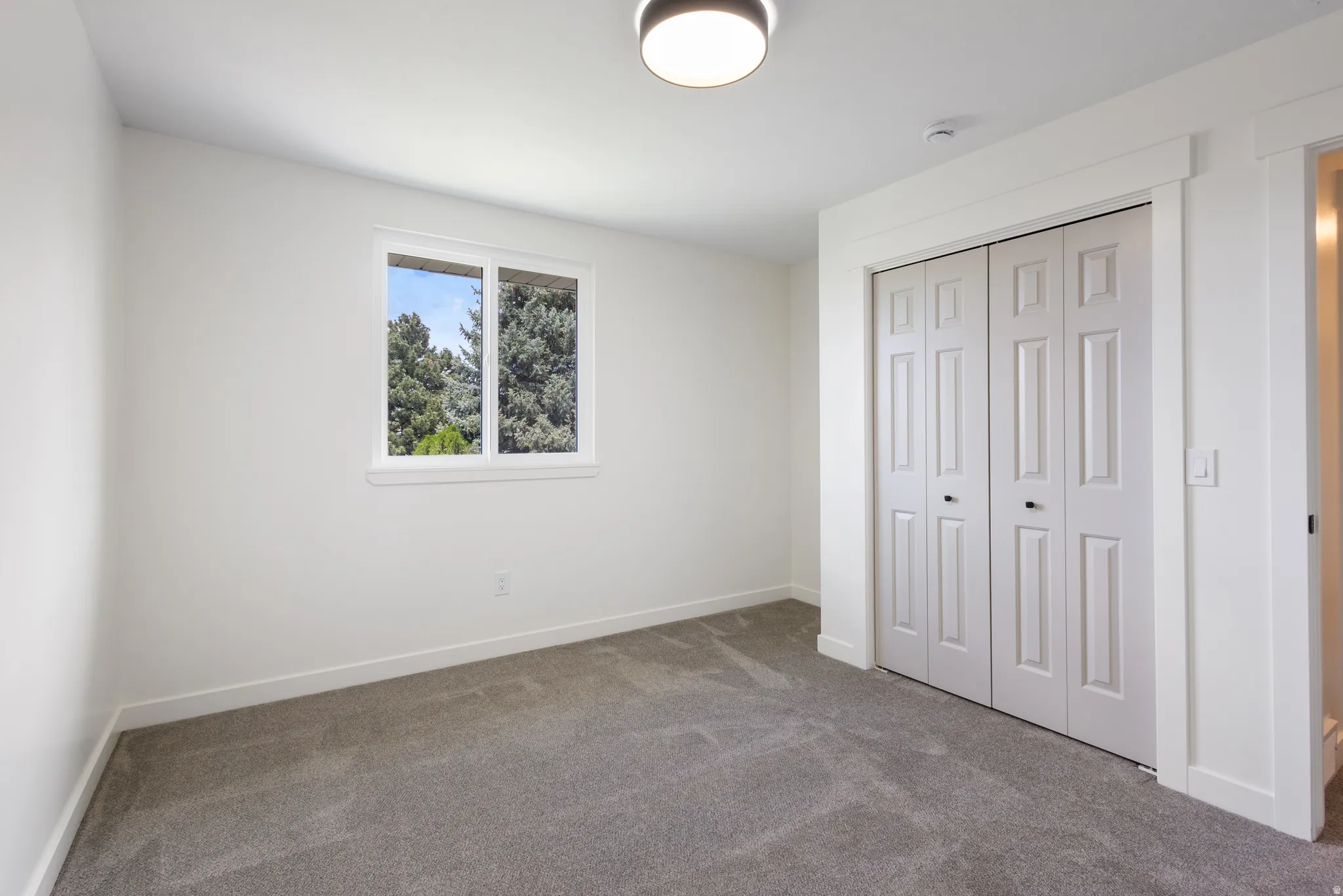 Room featuring a window with exterior tree scenery, soft gray carpeting, white walls, and a ceiling-mounted light fixture