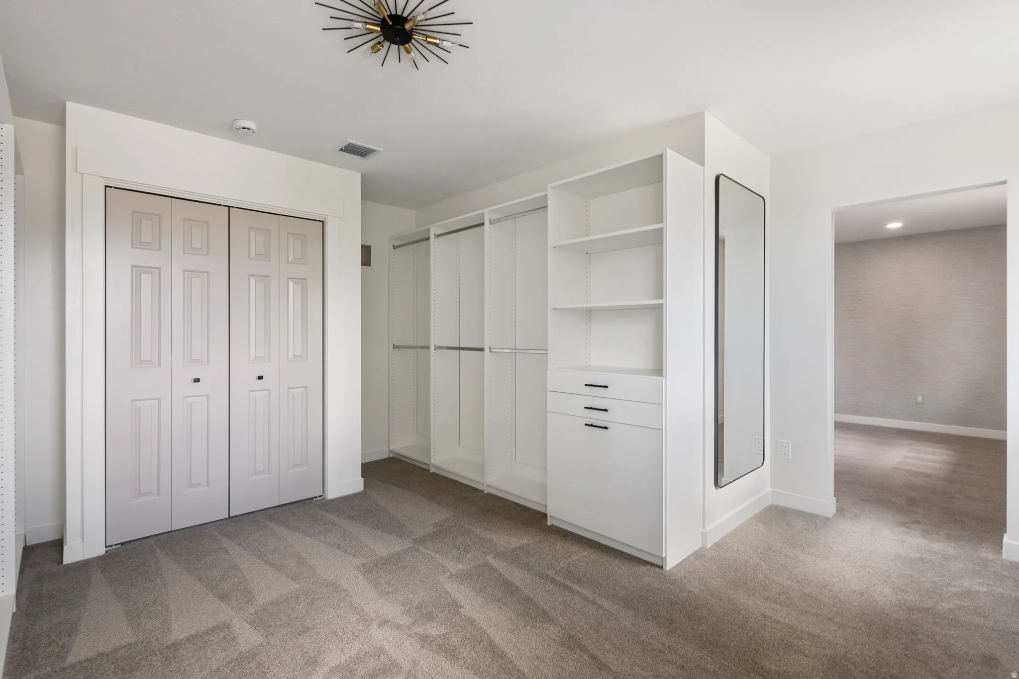 Spacious room featuring neutral carpeting, built-in shelving, drawers, and hanging storage