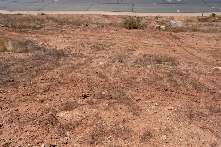 Expansive vacant land with a gentle slope and natural desert vegetation