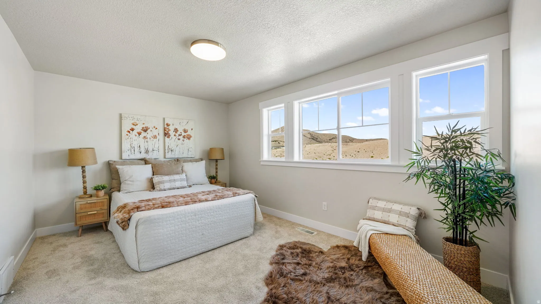Bright bedroom featuring multiple windows, carpeting, and light-colored walls