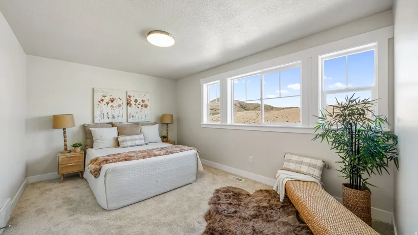 Bright bedroom featuring multiple windows, carpeting, and light-colored walls