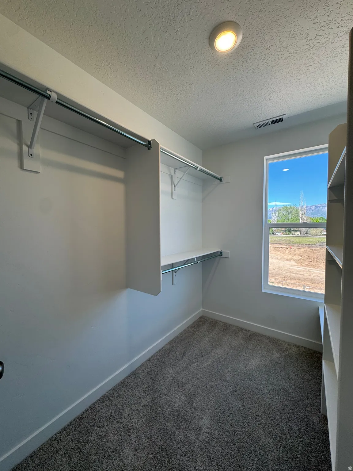 Walk-in closet with carpet flooring, built-in shelving, hanging rods, an exterior window, and a ceiling-mounted light fixture