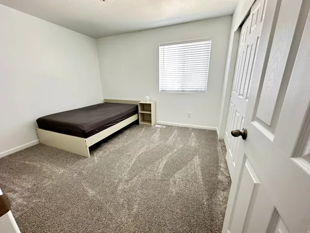 Carpeted room with white walls, a single window with horizontal blinds, and a paneled door