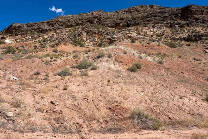 Desert landscape featuring diverse rock formations and sparse vegetation