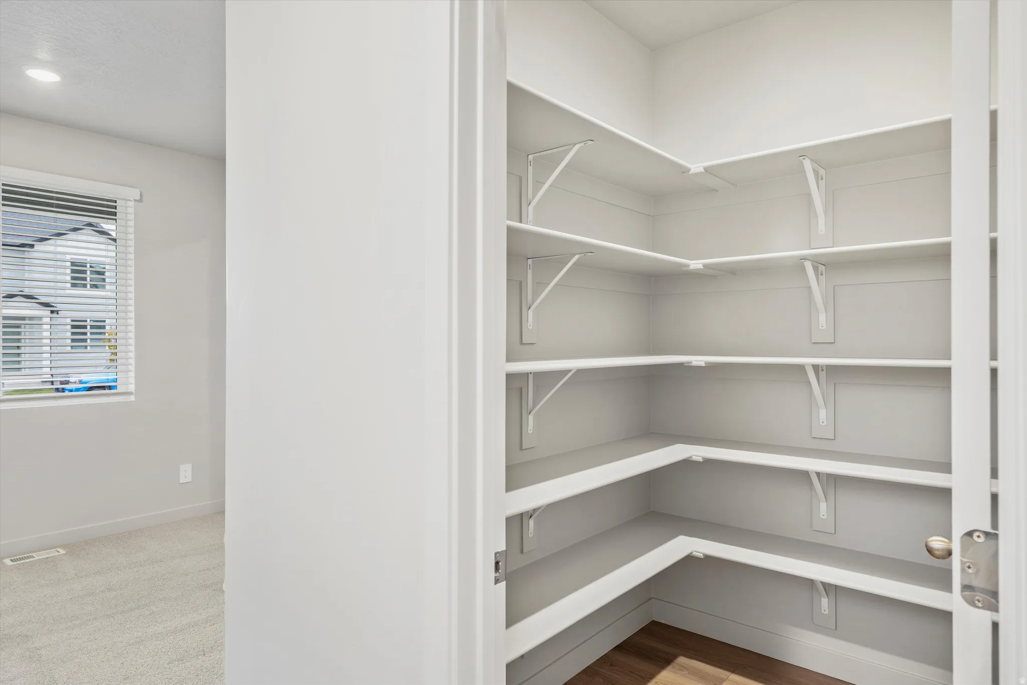 Expansive walk-in pantry featuring multiple levels of white shelving and wood-finish flooring