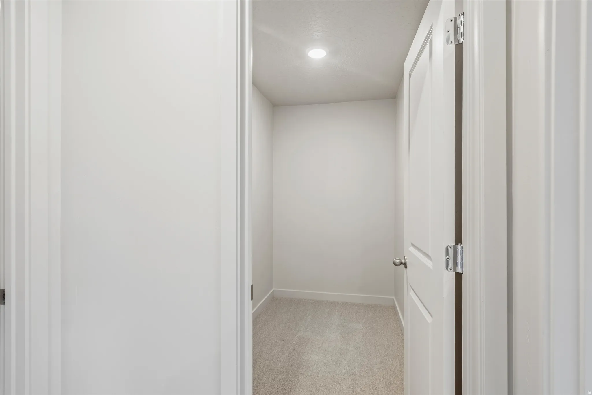 Interior hallway featuring a recessed ceiling light, paneled door, and neutral-toned carpeting