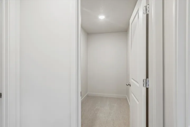 Interior hallway featuring a recessed ceiling light, paneled door, and neutral-toned carpeting