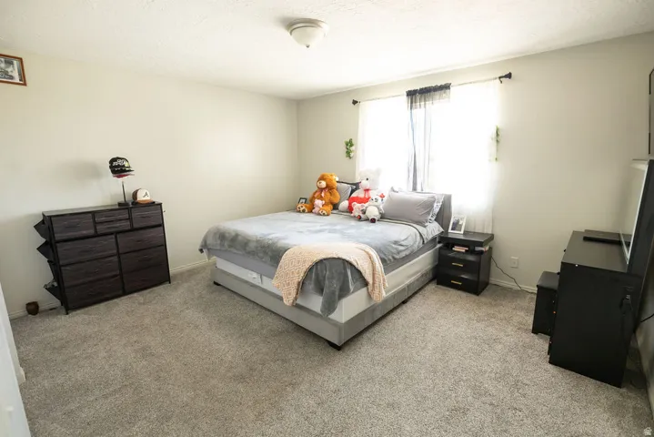 Carpeted room featuring a ceiling-mounted light fixture, light-toned walls, and a window with curtain rods
