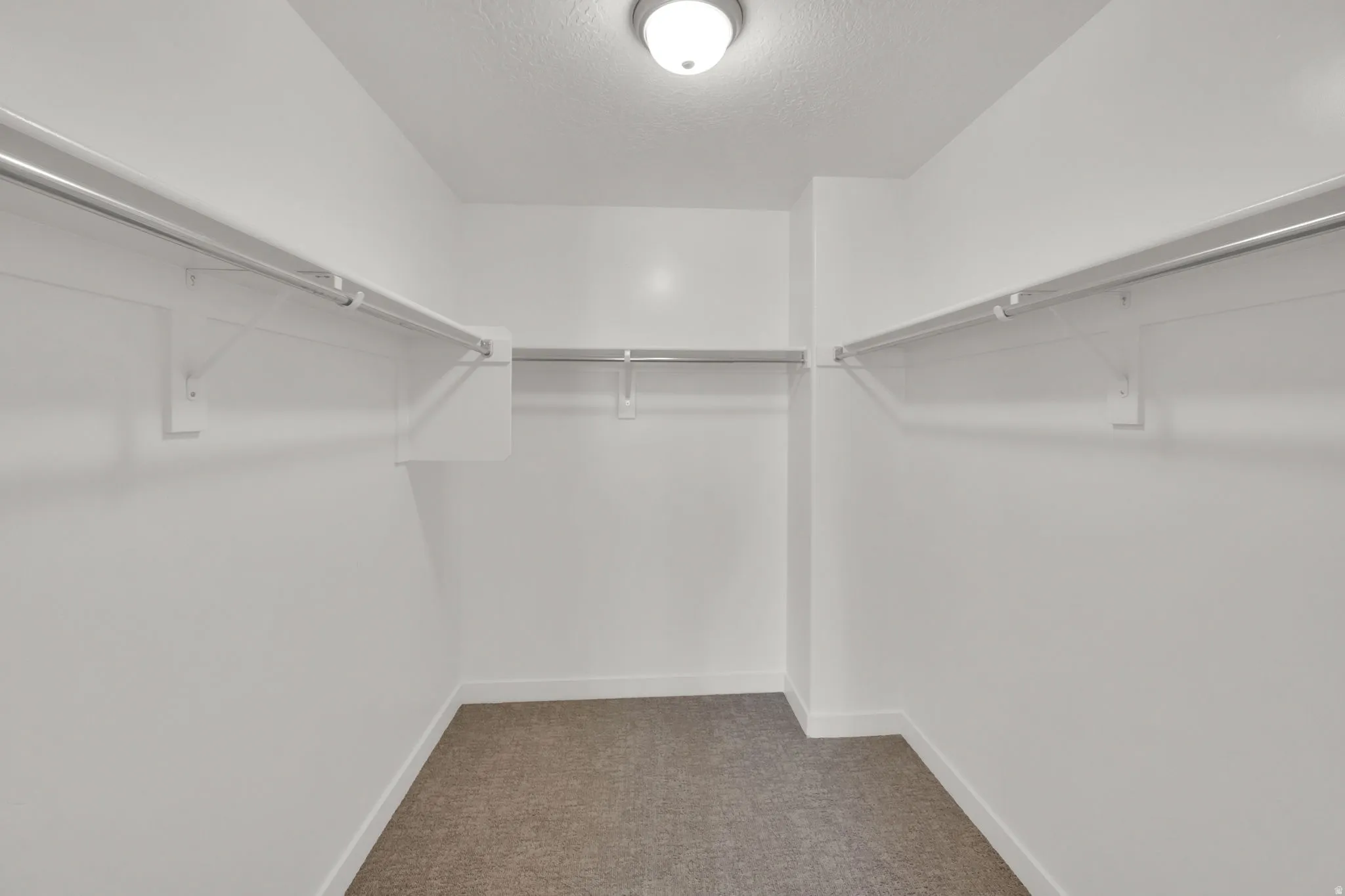 Walk-in closet featuring white walls, white trim, and light brown carpeting