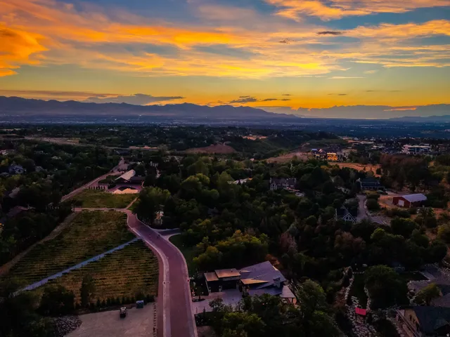 Expansive property featuring a paved private road, mature landscaping, and vineyard rows