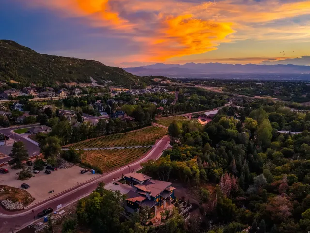 Mountainous landscape with expansive residential development, extensive tree coverage, and distant mountain ranges