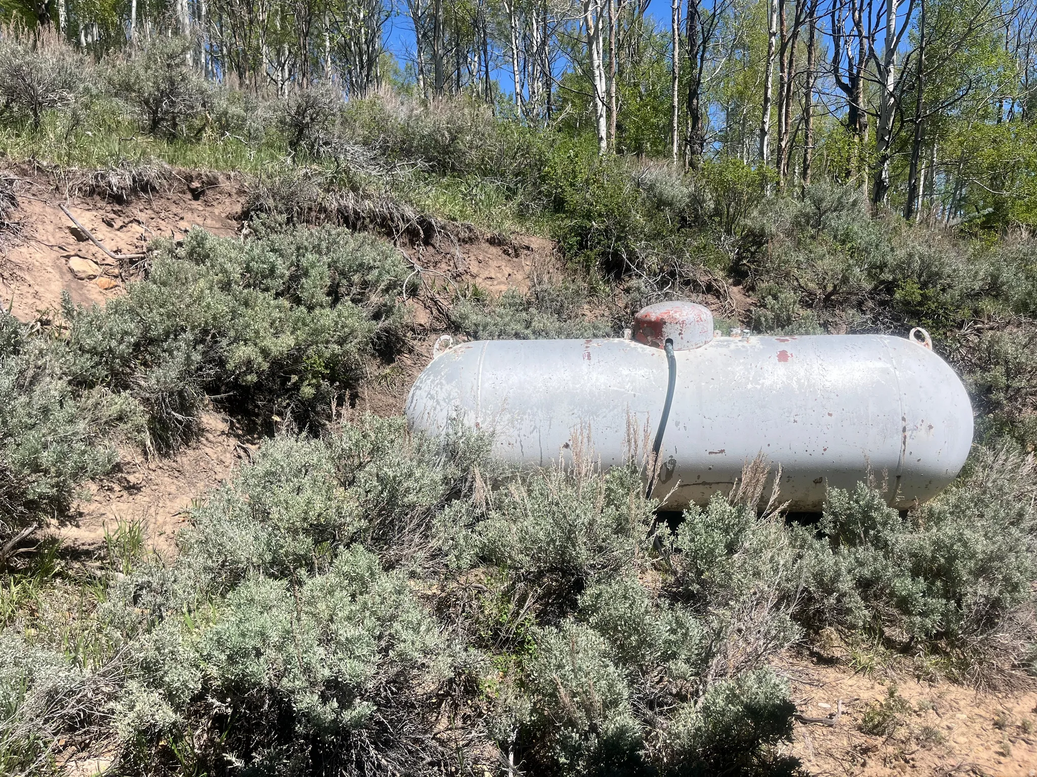 Propane tank on a natural, sloped landscape with varied brush and trees