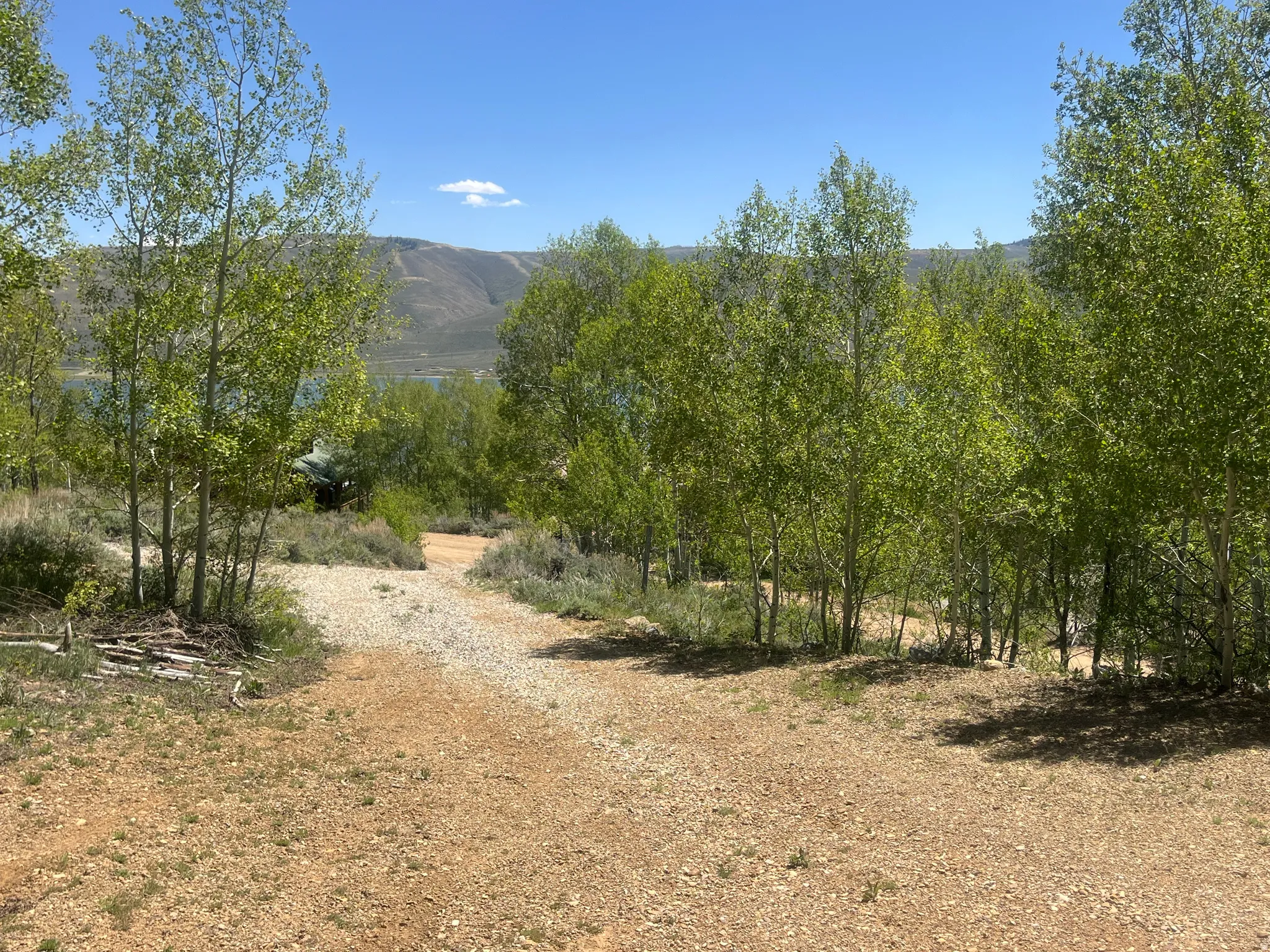 Gravel path surrounded by mature aspen trees, with distant mountains and a body of water visible