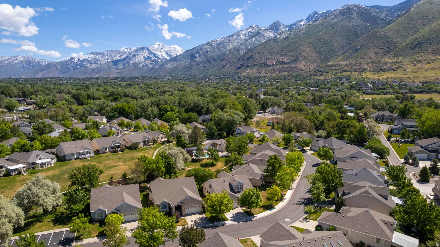 Aerial perspective of a residential community featuring mature trees and a curving street layout