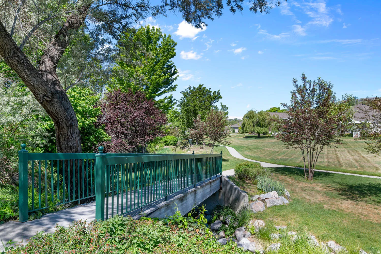 Concrete bridge with green metal railings, surrounded by mature trees and lush foliage