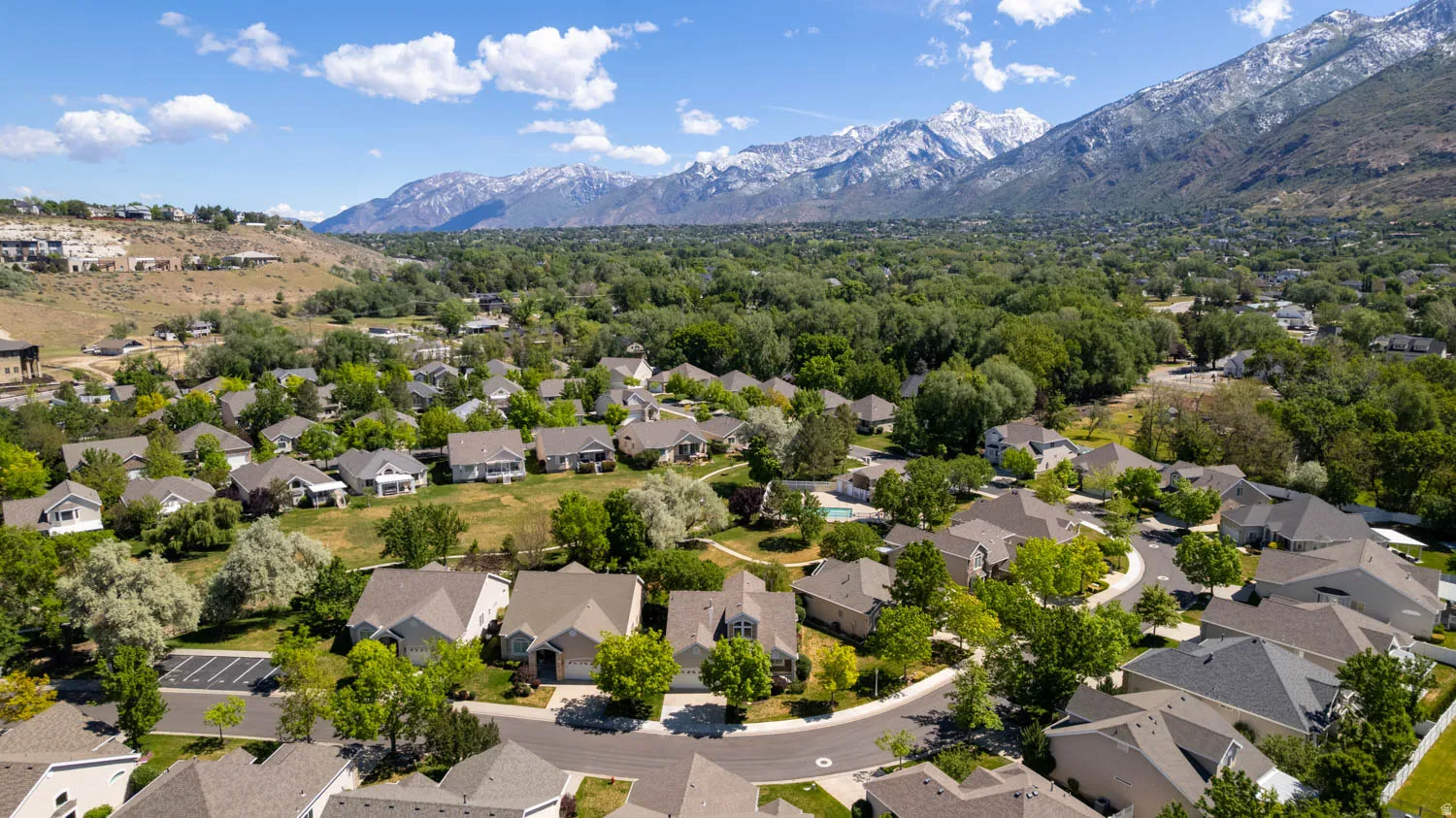 Expansive residential area featuring numerous single-family homes, mature trees, and paved streets