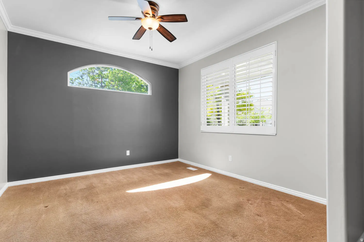 Carpeted interior space featuring a dark accent wall, arched transom window, and a ceiling fan with light fixture