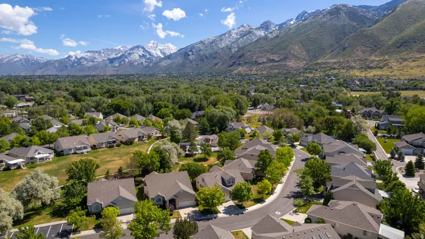 Aerial perspective of a residential community featuring mature trees and a curving street layout