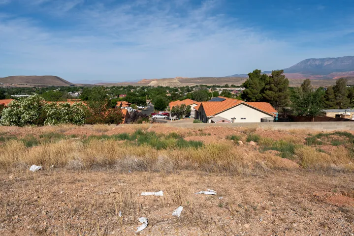 Expansive undeveloped lot featuring natural desert vegetation