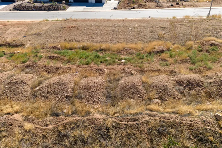 Expansive undeveloped lot featuring varied topography and natural vegetation