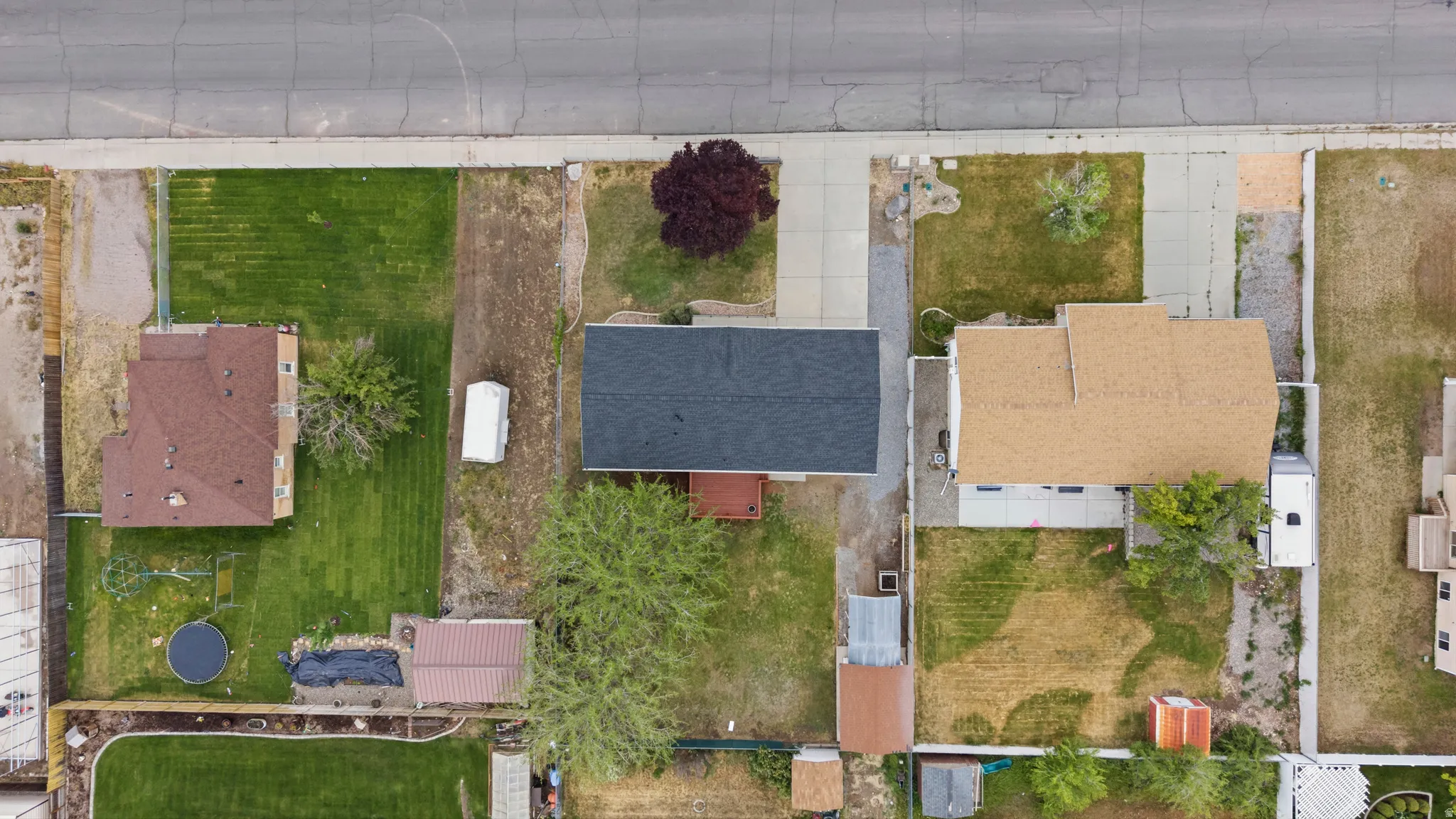 Overhead property view featuring a dark shingle roof, a paved driveway, and mature trees