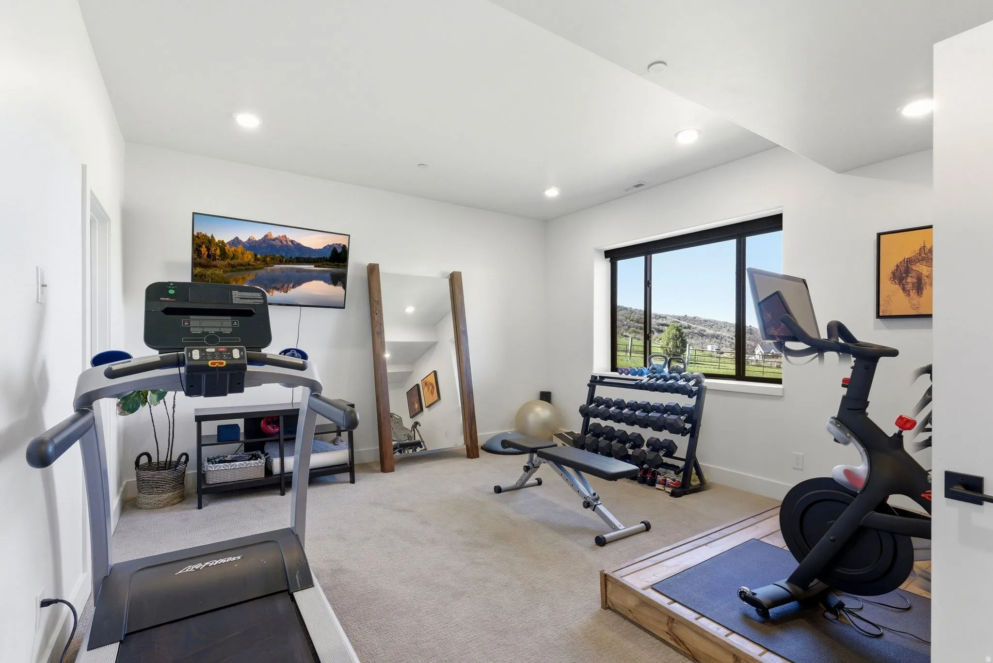 Dedicated fitness space featuring recessed lighting, plush carpeting, a large picture window, and a wall-mounted television