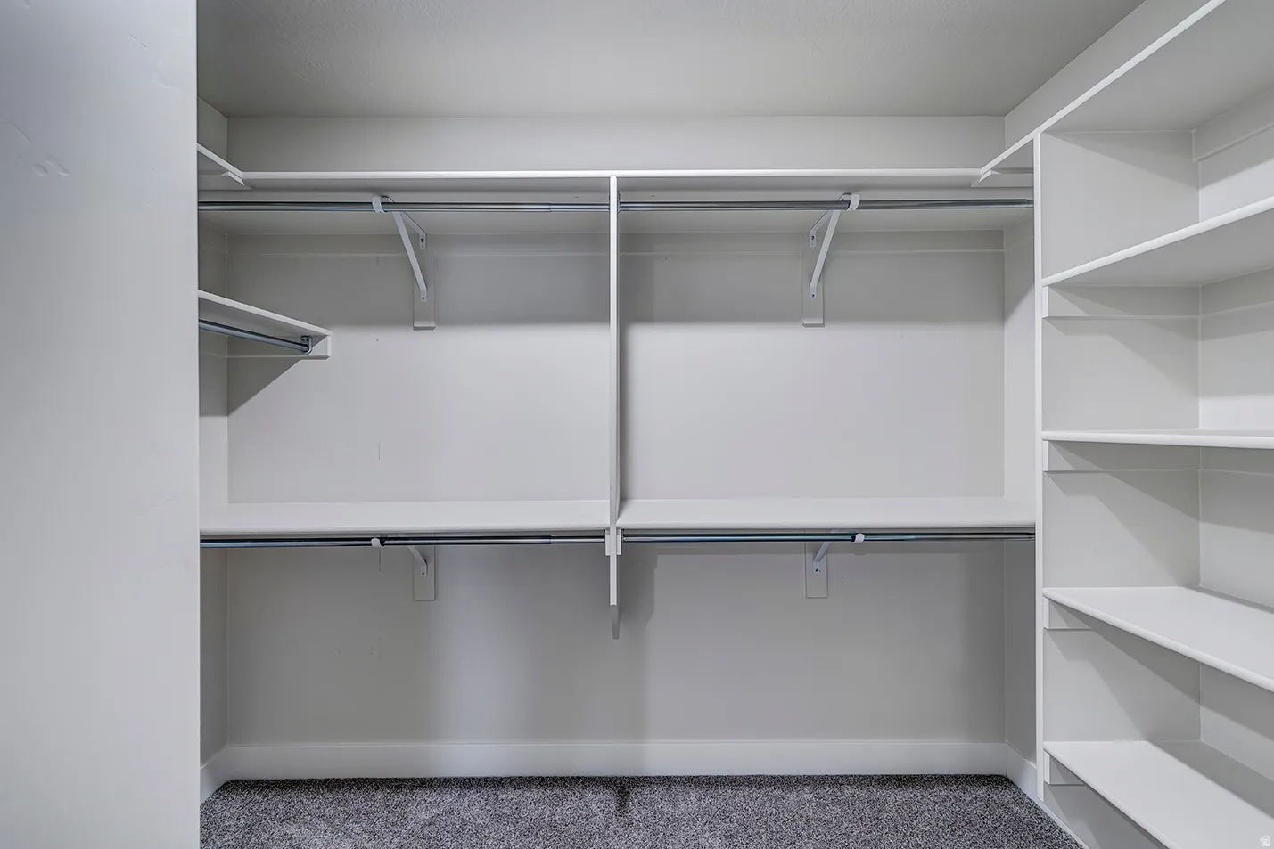 Walk-in closet with ample storage, featuring built-in shelving, multiple hanging rods, and a neutral carpeted floor