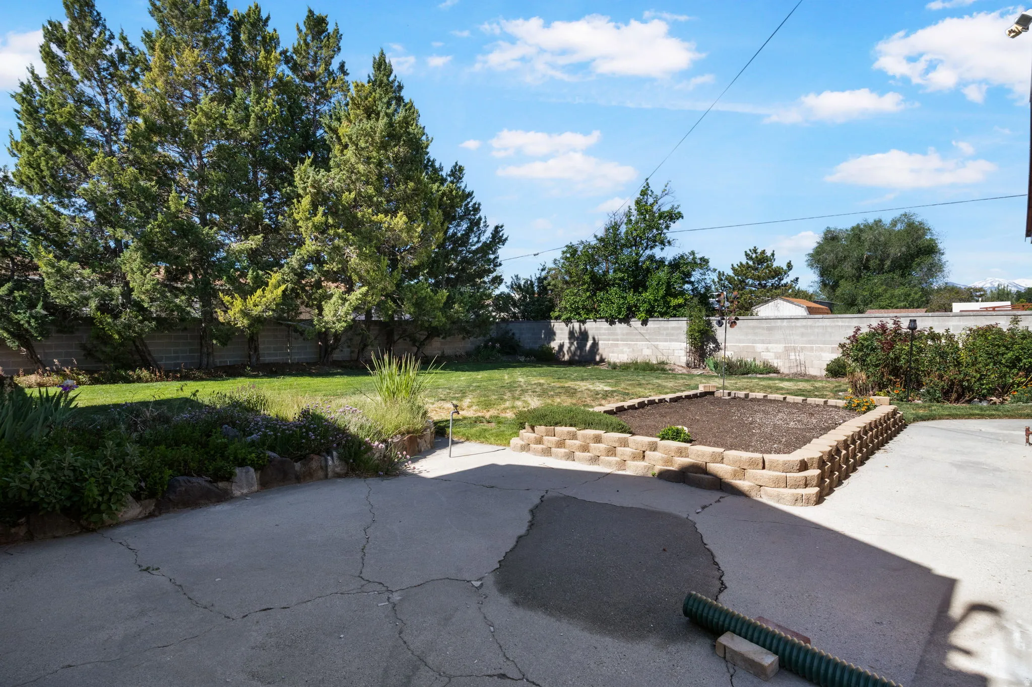 Backyard View #2-Expansive backyard featuring a concrete patio, a tiered block planter, a raised garden bed, mature evergreen trees, and a concrete block privacy wall.