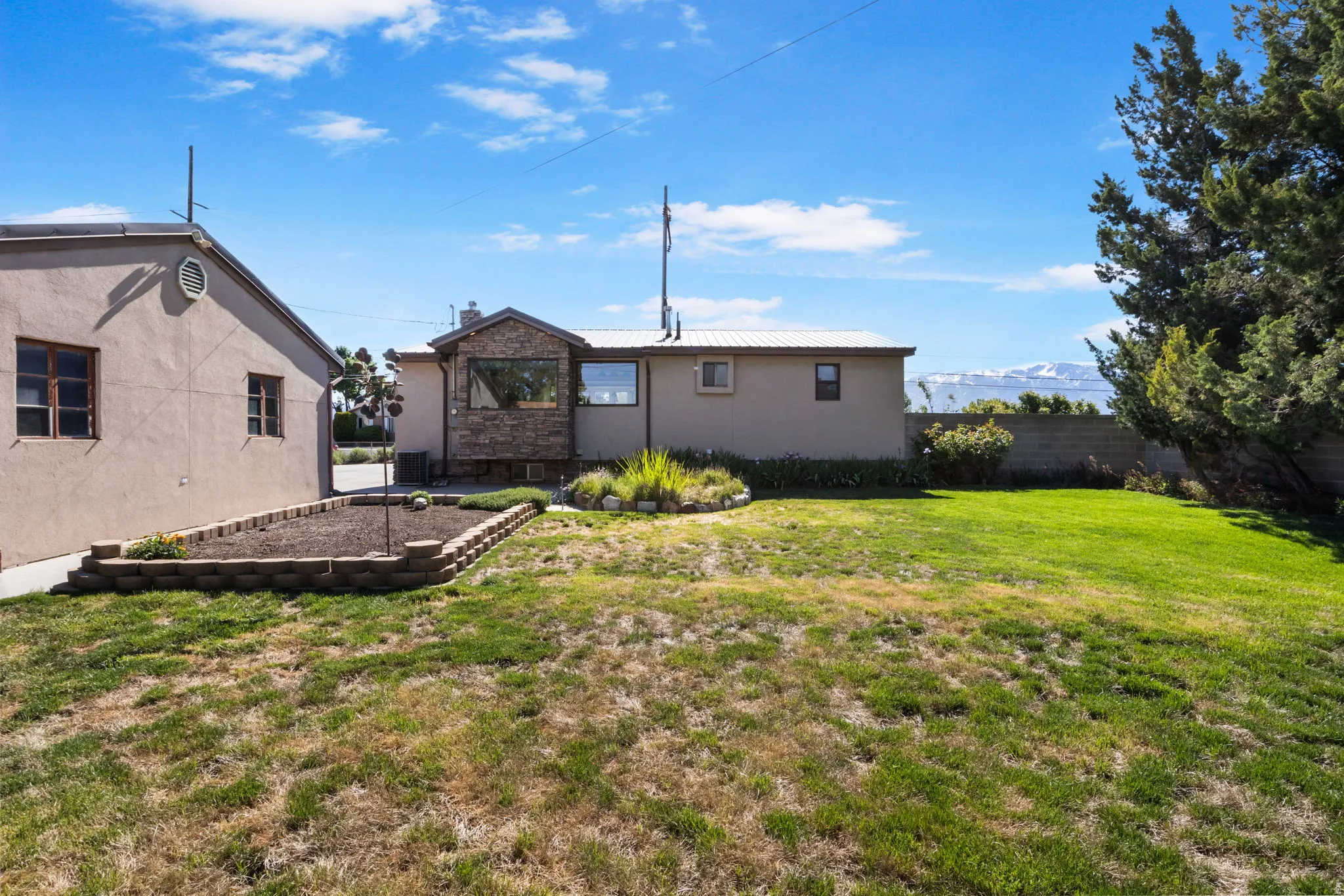 Backyard View #4-Expansive rear yard featuring a raised planter bed, mature evergreen tree, and mountain backdrop